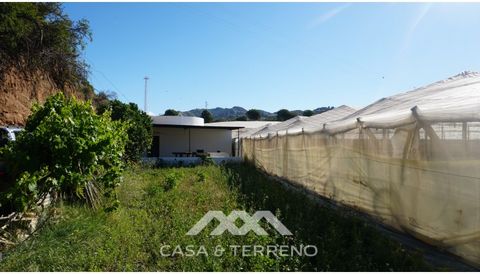 Een spectaculair perceel van 4.657 m2 te koop in het zonnige Algarrobo Costa. Het grootste deel van het land wordt ingenomen door een kas in perfecte staat, klaar om in gebruik te worden genomen, met een groot potentieel voor elk landbouwproject. Het...