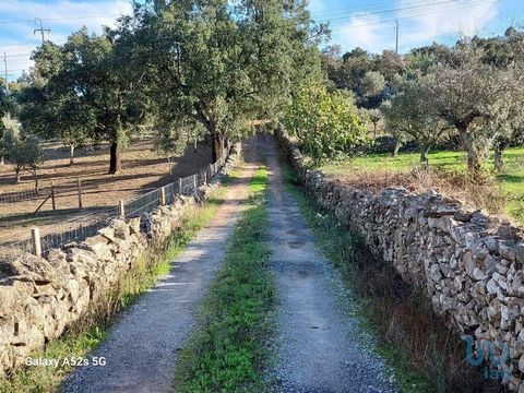 Terreno agrícola de pouco mais de 0,5 ha. na interessante localidade de Caia, freguesia de Urra, com vistas para a esplendorosa serra de São Mamede. De acessos muito bons, este terreno pode ser utilizado para vários fins, do lazer à exploração de hor...