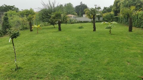 photo no. 11