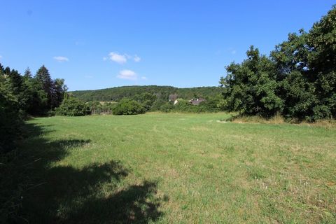 photo no. 2