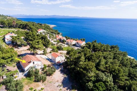 Holiday Home Blue Vineyard is situated in Borak, a small idyllic fishing settlement with intact nature and rich vegetation. Terrace with an outdoor seating area and nice sea view is at guests disposal. Free private parking and barbecue are also provi...