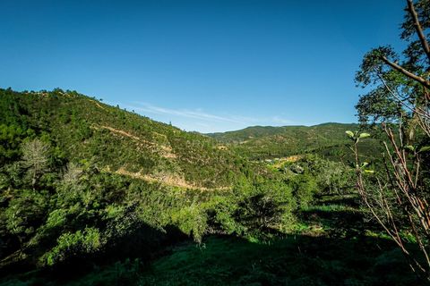 Sloping between the gentle slopes of the Serra de Monchique, this rustic property, located in the heart of the Algarve in Portugal, is a hymn to natural tranquillity. Here, where the lush green of the hillsides blends harmoniously with the deep blue ...