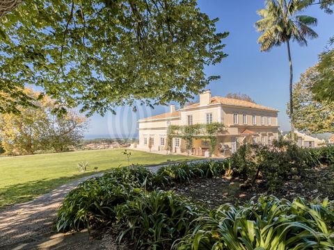 Domaine du XVIIIe siècle situé sur les pentes de la Serra de Sintra, avec des vues panoramiques sur l'océan Atlantique, la propriété viticole la plus occidentale d'Europe, offrant une combinaison exceptionnelle d'histoire, de luxe et de potentiel com...