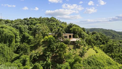 Experience ultimate privacy and tranquility in this secluded estate, quite literarily nestled within the lush landscapes of Southwestern Puerto Rico. Set on a sprawling 7.45 acre plot, this retreat offers a natural sanctuary surrounded by aromatic yl...