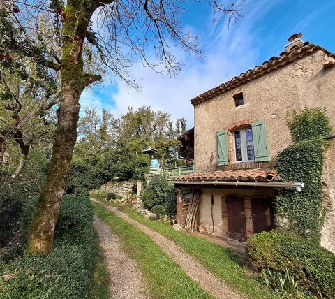 I would like to introduce you to this charming renovated house in the heart of the Causse de Caucalières, in the heart of the countryside between Castres and Mazamet. Outside, you'll enjoy a bucolic garden with pretty stone nooks and crannies, views ...