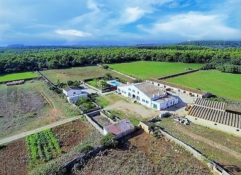 MINORQUE EST UN PARADIS À PROXIMITÉ. Maison de campagne spacieuse située dans la charmante zone rurale d'Es Mercadal. Avec un vaste terrain de 2 296 511 m², cette propriété offre un total de 1 000 m² habitables, accompagnés d'environ 1 000 m² supplém...