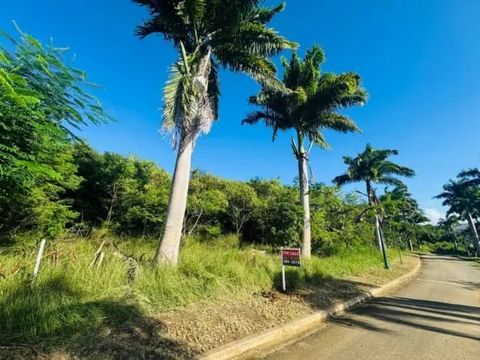 Prime 16,479(NET) Square foot Residential Lot in St. Peter is Open to Offers. This expansive rectangular lot offers the perfect opportunity to create your dream Caribbean home. Located on a lovely ridge above Mullins Bay in the Parish of St. Peter, t...