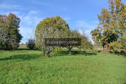 Vous rêvez de construire votre maison dans un cadre exceptionnel? Ne cherchez plus ! Situé sur les hauteurs de Beaupuy, ce terrain vous offre une vue dégagée et allie tranquillité et sérénité .À quelques minutes seulement des commodités et des commer...