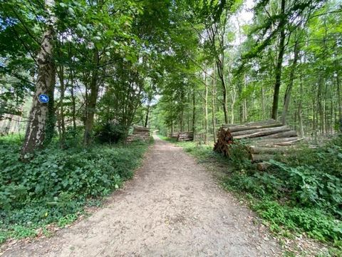 Herzlich willkommen am Haardgrenzweg in Oer-Erkenschwick! Wir freuen uns, Ihnen dieses außergewöhnliche Grundstück im Wald vorzustellen, das sich im begehrten Außenbereich befindet. Auf einem großzügigen Areal von insgesamt 4942 Quadratmetern erwarte...