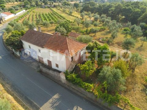 Propriété avec maison ancienne à rénover, avec des caractéristiques très caractéristiques, dans un endroit où la tranquillité excelle. La maison se compose de deux étages, et avec de petits travaux, il est possible d'obtenir un espace habitable très ...