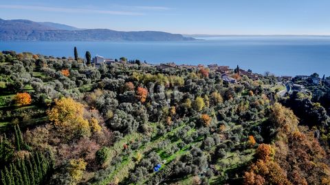 Willkommen in Vigole, einem bezaubernden, privaten Ort mit Panoramablick im Herzen von Toscolano-Maderno, in der wunderschönen Umgebung des Gardasees. Hier, mit einem atemberaubenden Blick und in einer exklusiven Umgebung, liegt ein einzigartiges Stü...