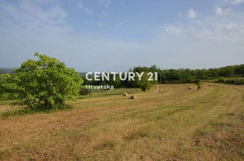 PIĆAN, GROSSES BAULAND MIT INFRASTRUKTUR UND SCHÖNER AUSSICHTSMÖGLICHKEIT Zum Verkauf steht ein Baugrundstück von 11584 m2 in einem kleinen Dorf, nur 5 km von der Stadt Pićno entfernt. Es befindet sich in einer ausgezeichneten Lage und hat einen herr...