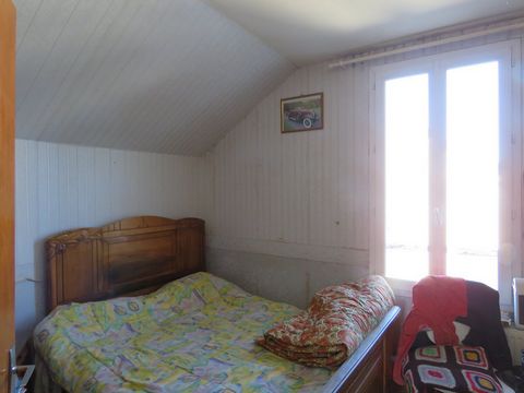 photo no. 8