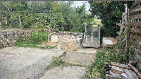 photo no. 9