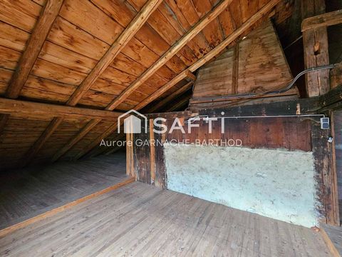 photo no. 6