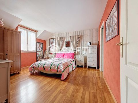 photo no. 9
