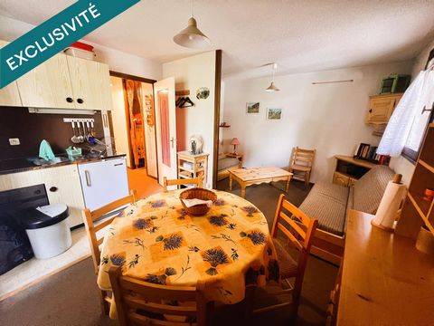 GRAND STUDIO CABINE AVEC CAVE ET PARKING PRIVATIF 31m2