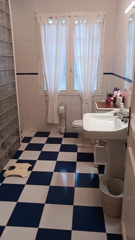 photo no. 14