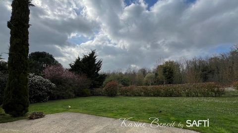 photo no. 15
