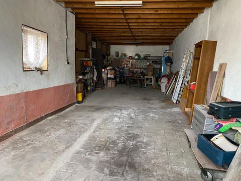 photo no. 11