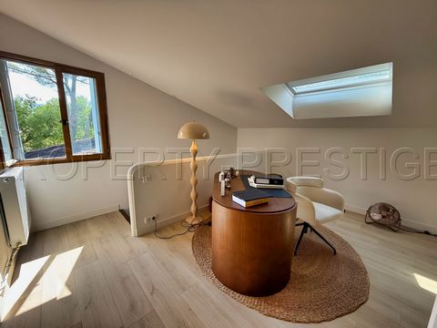 photo no. 13