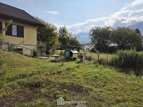 photo no. 9