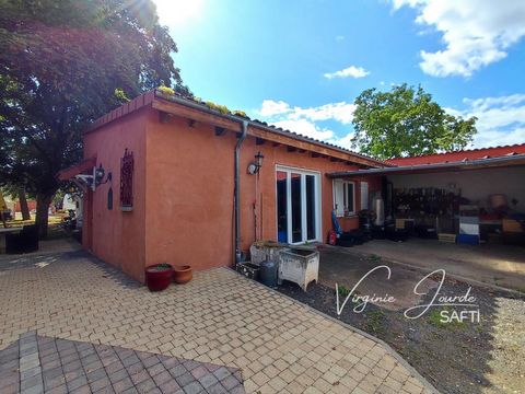 photo no. 13