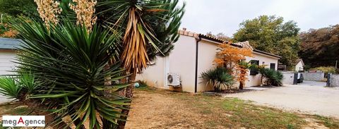 photo no. 9