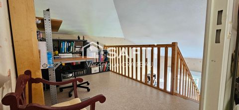 photo no. 4