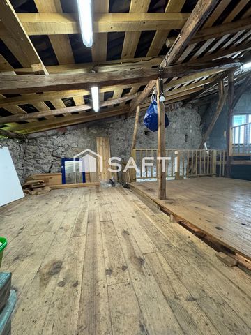 photo no. 5
