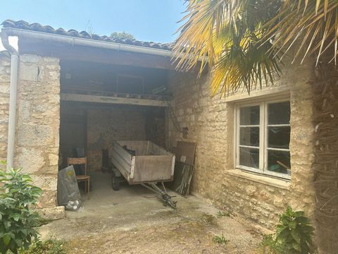 photo no. 18