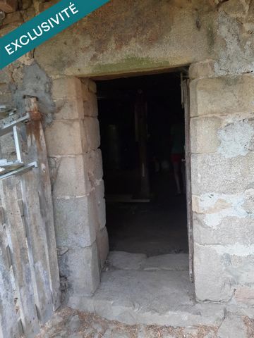 photo no. 8
