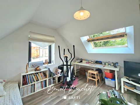 photo no. 8