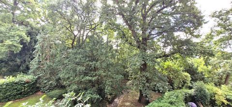 photo no. 15