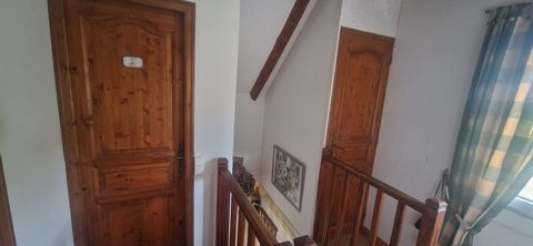 photo no. 8