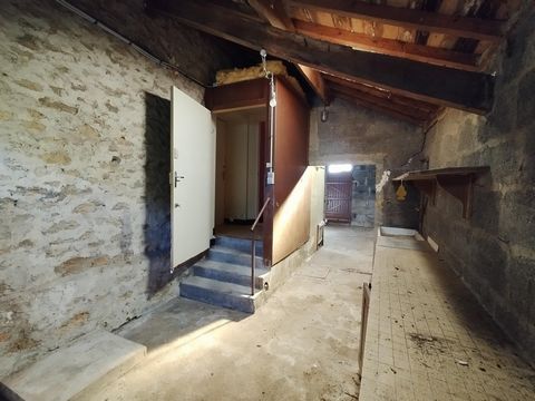 photo no. 11
