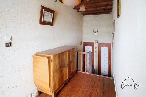 photo no. 12