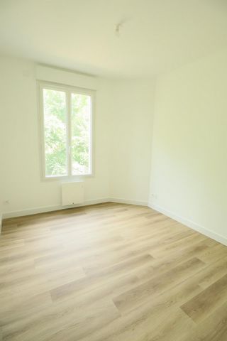 photo no. 6