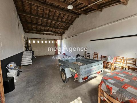 photo no. 9