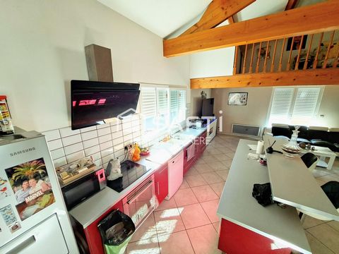 photo no. 3