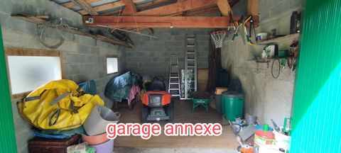 photo no. 19
