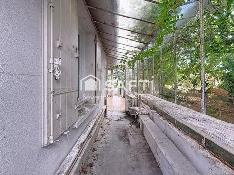 photo no. 2