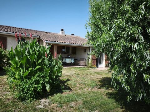 photo no. 9