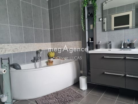 photo no. 11