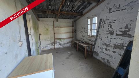 photo no. 14