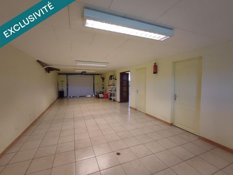 photo no. 15