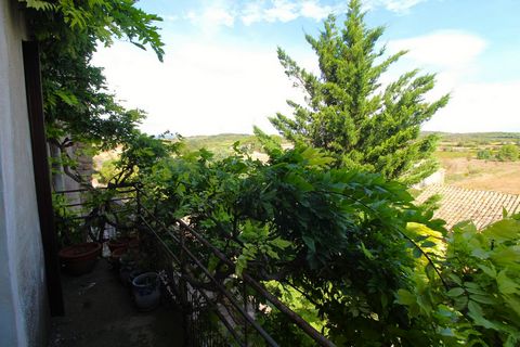 photo no. 2