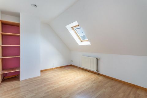 photo no. 4