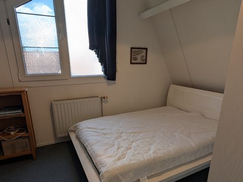 photo no. 8