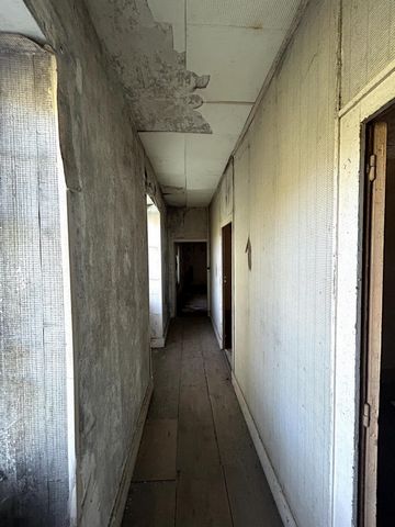 photo no. 5